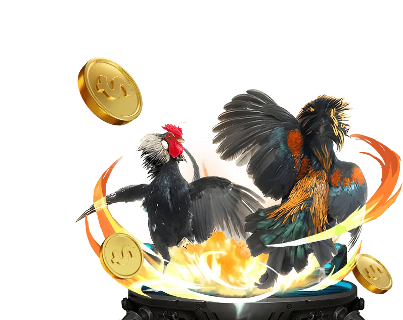 Tỷ Lệ Hoàn Trả s666 plus Cao